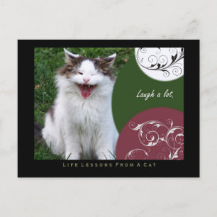 Lektionen aus dem Leben einer Katze auf der Postka Postkarte