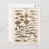 Lektionen für Fische Postkarte (Vorne/Hinten)