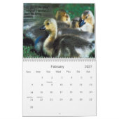 LEKTIONEN VOM GANS-KALENDER KALENDER (Feb 2027)