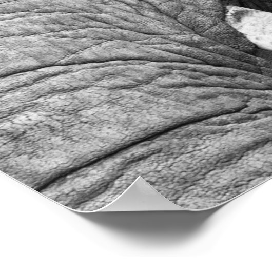 L'Elephant Print - Groß Poster (Ecke)