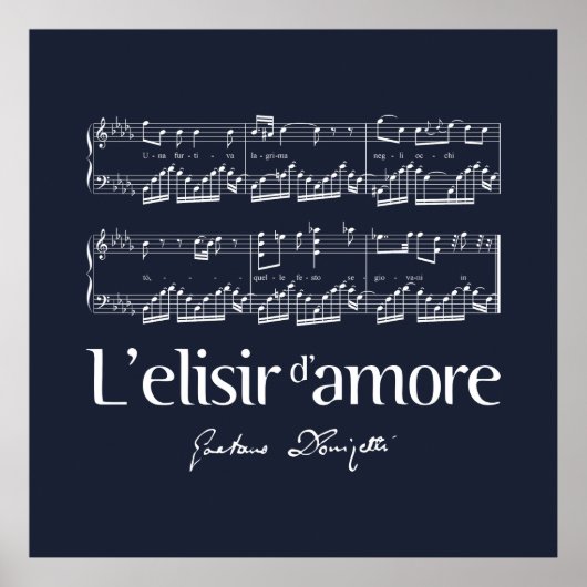 L'elisir d'amore 2 poster (Vorne)