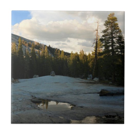 Lembert Dome in Tuolumne Meadows, Yosemite, CA Fliese (Vorderseite)