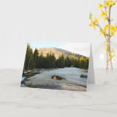 Lembert Dome in Tuolumne Meadows, Yosemite, CA Karte (Gelbe Blume)