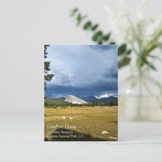 Lembert Dome in Tuolumne Meadows, Yosemite, CA Pos Postkarte (Stehend Vorderseite)