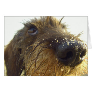 Lemme denken an den .....