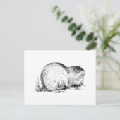 Lemming Postkarte (Stehend Vorderseite)