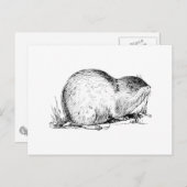 Lemming Postkarte (Vorne/Hinten)