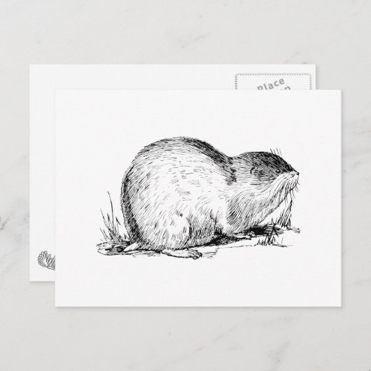 Lemming Postkarte (Vorne/Hinten)
