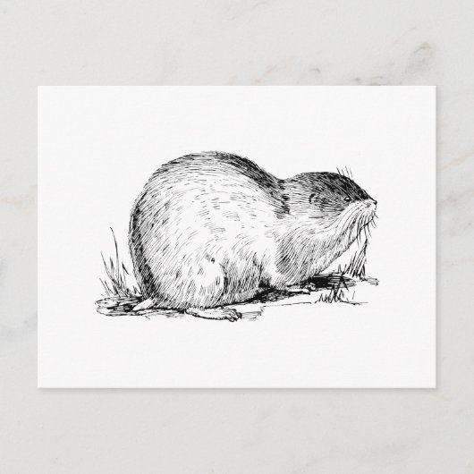 Lemming Postkarte (Vorderseite)
