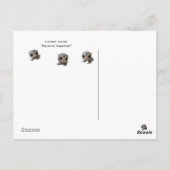 Lemmy Flyby Postkarte (Rückseite)