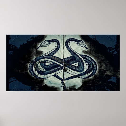 Lemniboros Serpens Rorschach Poster 002 (Vorne)