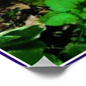 Lemon Balm Herb Garden Poster (Ecke)