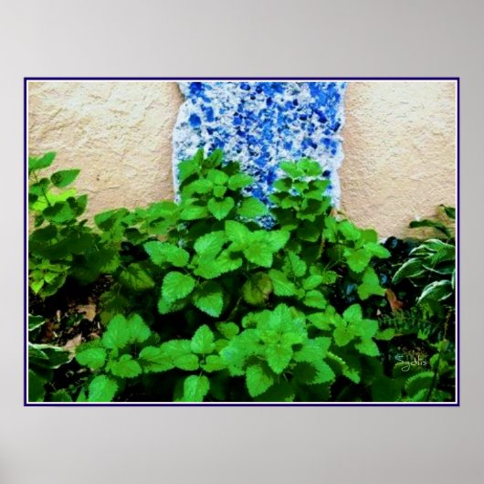 Lemon Balm Herb Garden Poster (Vorne)