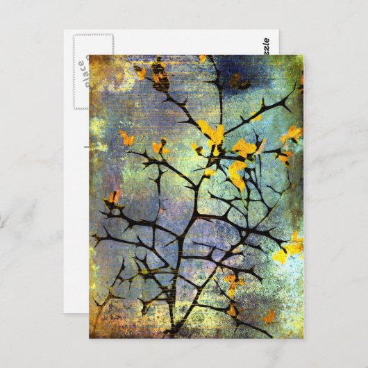 Lemon Blossoms Postkarte (Vorne/Hinten)