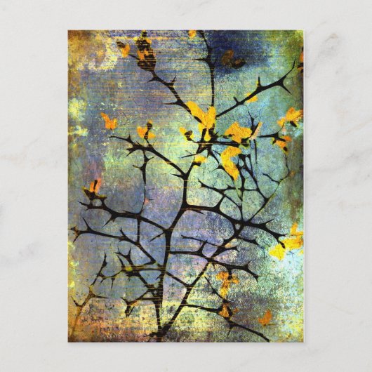 Lemon Blossoms Postkarte (Vorderseite)