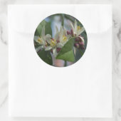 Lemon Blossoms Runder Aufkleber (Tasche)