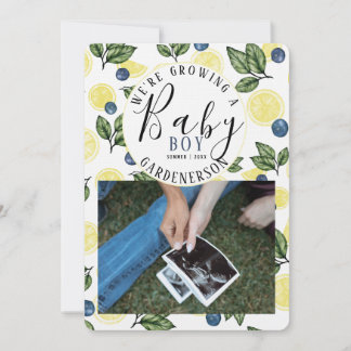 Lemon Blueberry Boy Pregnancy Ankündigung