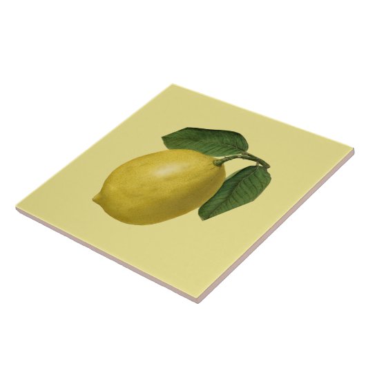 Lemon Botanical ~ Küche ~ beliebiger Farbhintergru Fliese (Seite)