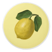 Lemon ~ Botanisches Obst ~ Hintergrundfarbe ~ Keramikknauf (Vorderseite)