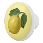 Lemon ~ Botanisches Obst ~ Hintergrundfarbe ~ Keramikknauf (Rechts)