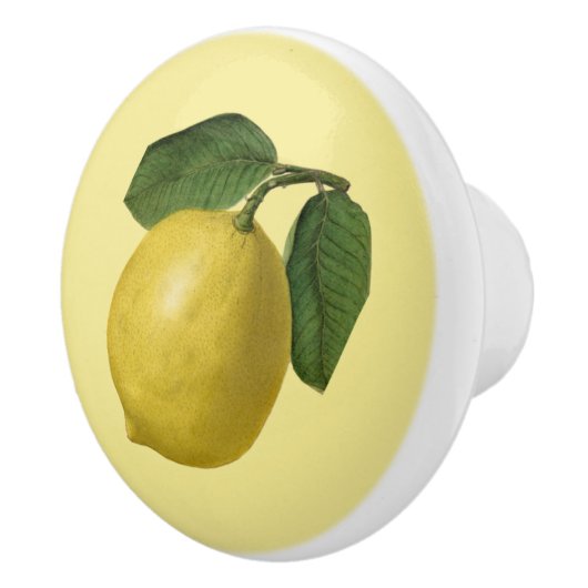 Lemon ~ Botanisches Obst ~ Hintergrundfarbe ~ Keramikknauf (Rechts)