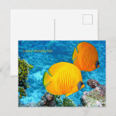 Lemon Butterfly Fisch Postkarte (Vorne/Hinten)