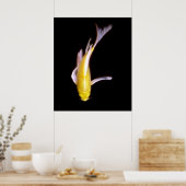 Lemon Butterfly Koi Poster (Küche)