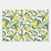 Lemon Citrus Blue Butterfells Geschenkpapier Set (Vorderseite 3)