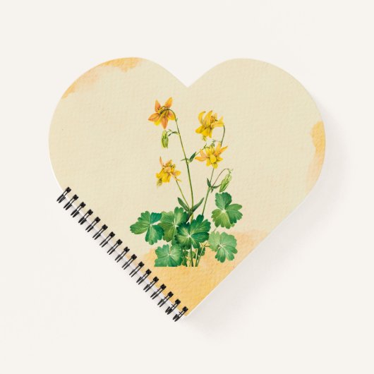 Lemon Columbine Blume Notizblock (Vorderseite)