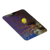Lemon Damsel Magnet (Rechte Seite)