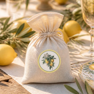 Lemon Frucht Klassischer Aufkleber