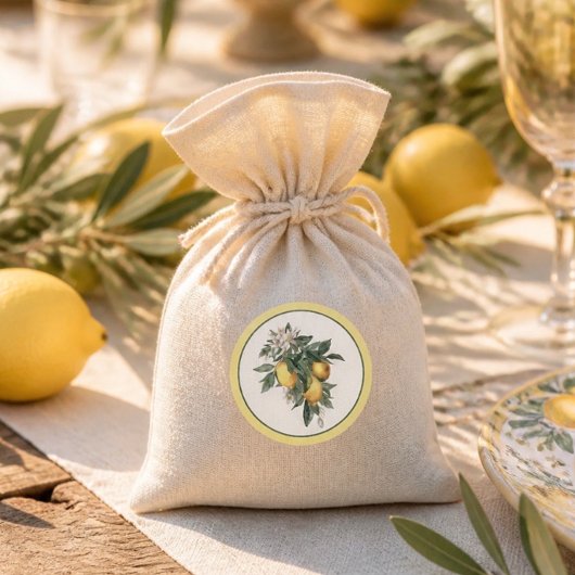 Lemon Frucht Klassischer Aufkleber