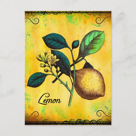 Lemon Fruit Blume Blätter Vintag botanisch Postkarte (Vorderseite)