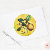 Lemon Fruit Blume Blätter Vintag botanisch Runder Aufkleber (Umschlag)