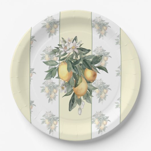 Lemon Fruit | Gelb/Weiß gestrichen Pappteller (Vorderseite)