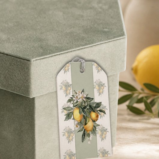 Lemon Fruit Gift Tags Geschenkanhänger