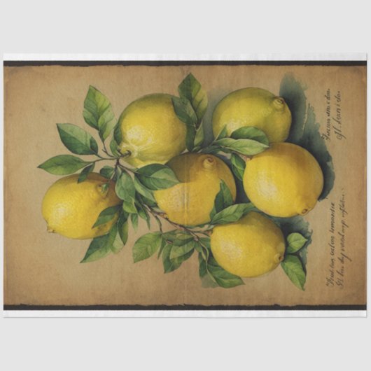 Lemon Fruit Illustration Ephemera No1 Seidenpapier (Vorderseite)