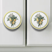 Lemon Fruit Round Keramikknauf