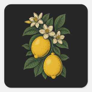 Lemon Fruit Vintag Art Lemon Farm Quadratischer Aufkleber