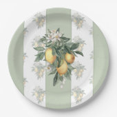 Lemon Fruit | Weiß und grün gestrichen Pappteller (Vorderseite)