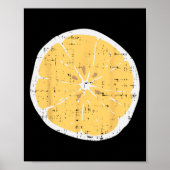 Lemon Fun Citrus Frucht Lazy Diy Easy Halloween Co Poster (Vorne)