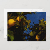 Lemon Glück Postkarte (Vorne/Hinten)