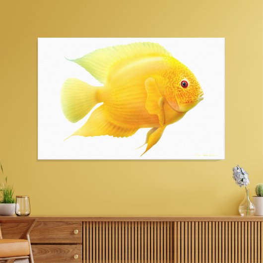 Lemon Gold Severum Cichlid Fisch ummantelt Canvas Leinwanddruck (Insitu (Wohnzimmer))