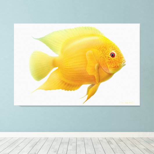 Lemon Gold Severum Cichlid Fisch ummantelt Canvas Leinwanddruck (Insitu (Holzboden))
