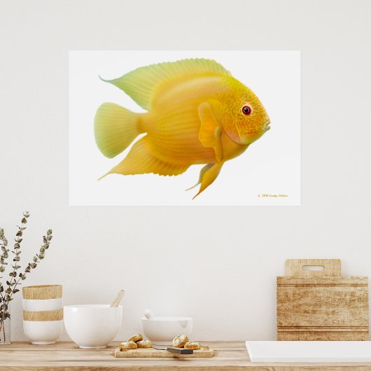 Lemon Gold Severum Cichlid Print Poster (Küche)