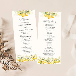 Lemon Green Citrus Wedding Programm