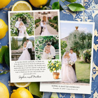 Lemon Grove 5 Foto Hochzeit