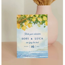 Lemon Grove Coastal Mediterranean Wedding