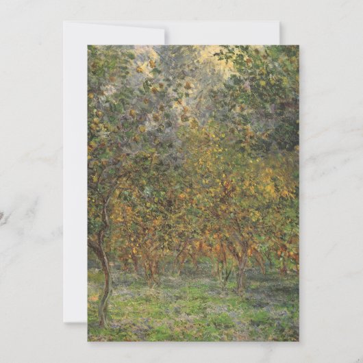 Lemon Grove in Bordighera von Claude Monet (Vorderseite)