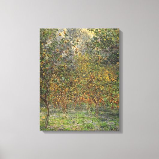 Lemon Grove in Bordighera von Claude Monet Leinwanddruck (Vorderseite)